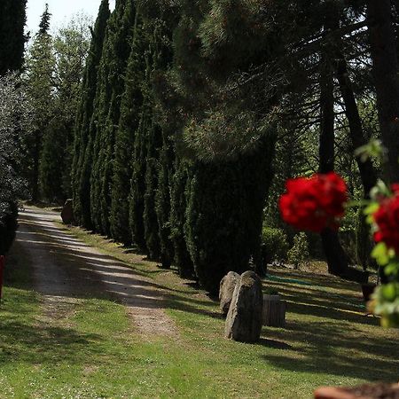 L'Antica Pala Βίλα Bucine Εξωτερικό φωτογραφία